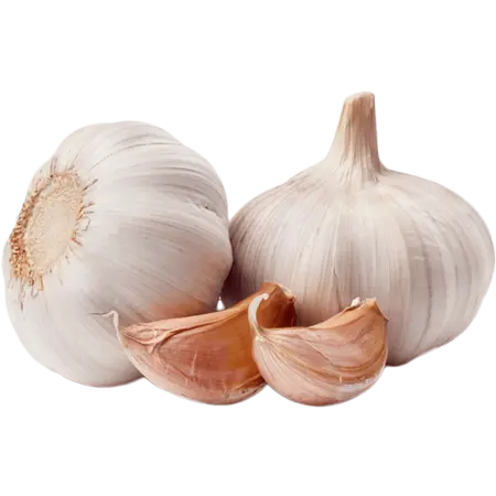 product-garlic