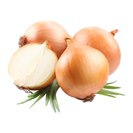 product-onion