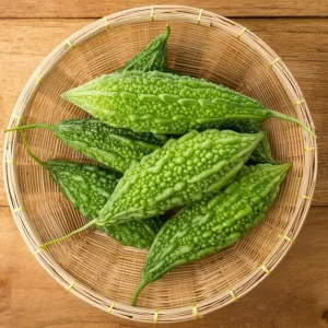 bitter-gourd bitter-gourd