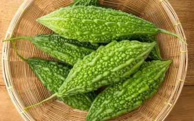 bitter-gourd