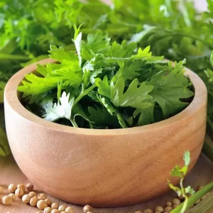 coriander